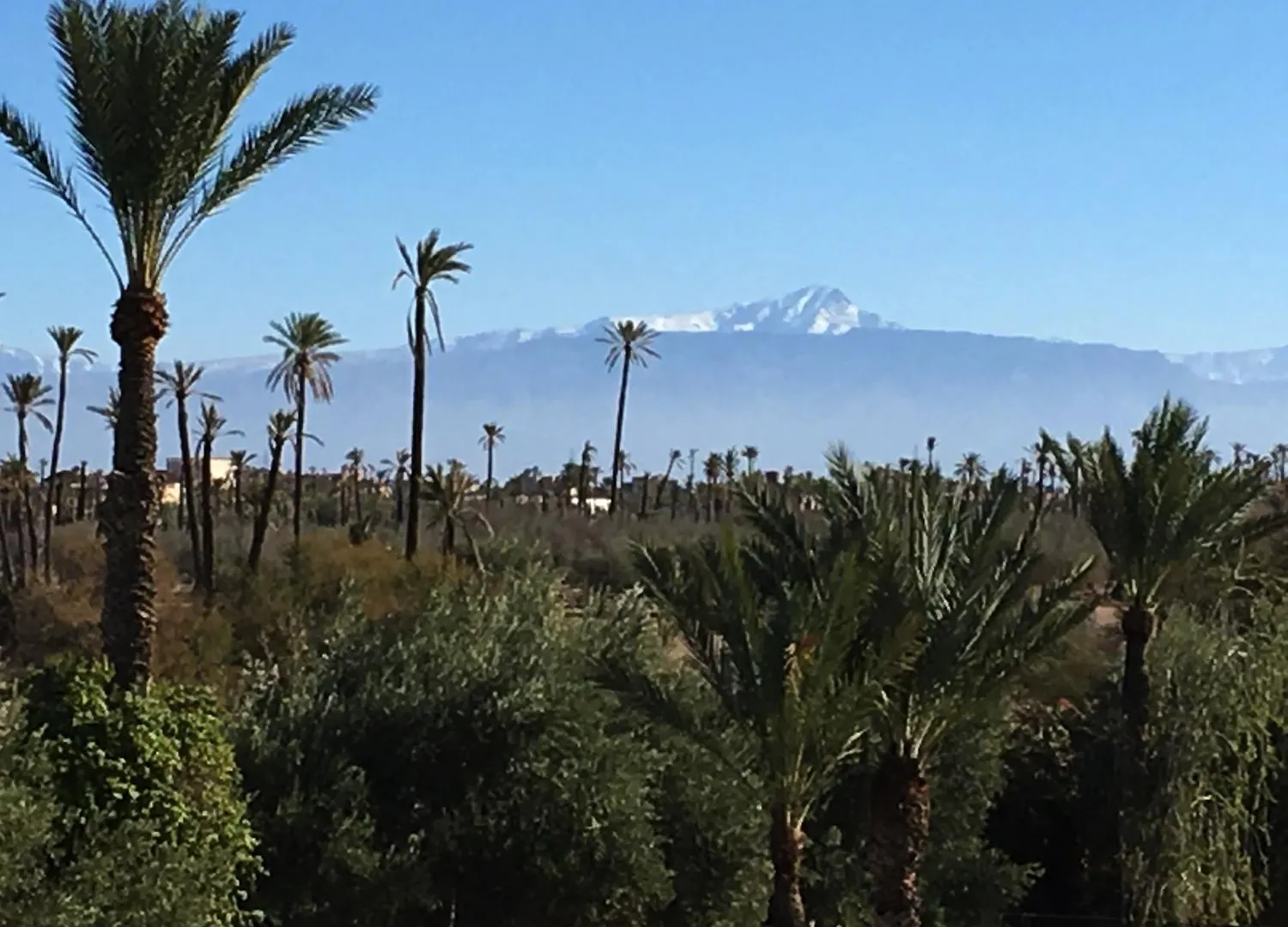 הוילה Authentic Family House In The Marrakesh Palm Grove מרוקו