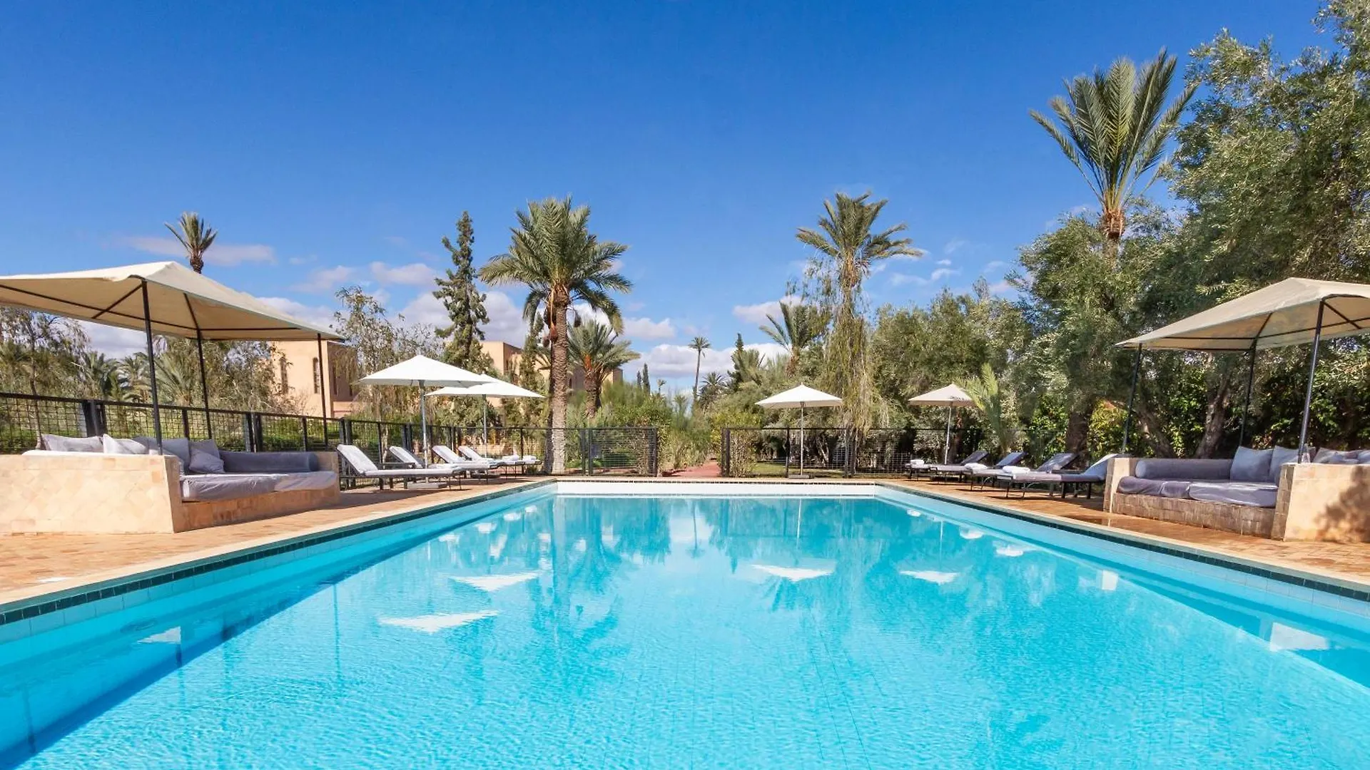 Authentic Family House In The Marrakesh Palm Grove contacts